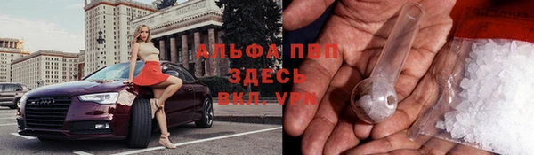стаф Абинск
