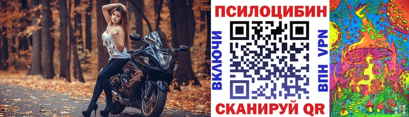 mega маркетплейс  купить наркотики цена  Нолинск  Псилоцибиновые грибы Psilocybine cubensis 